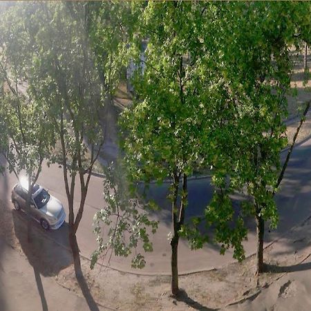 Однокомнатная Квартира На Улице Попудренко キエフ エクステリア 写真